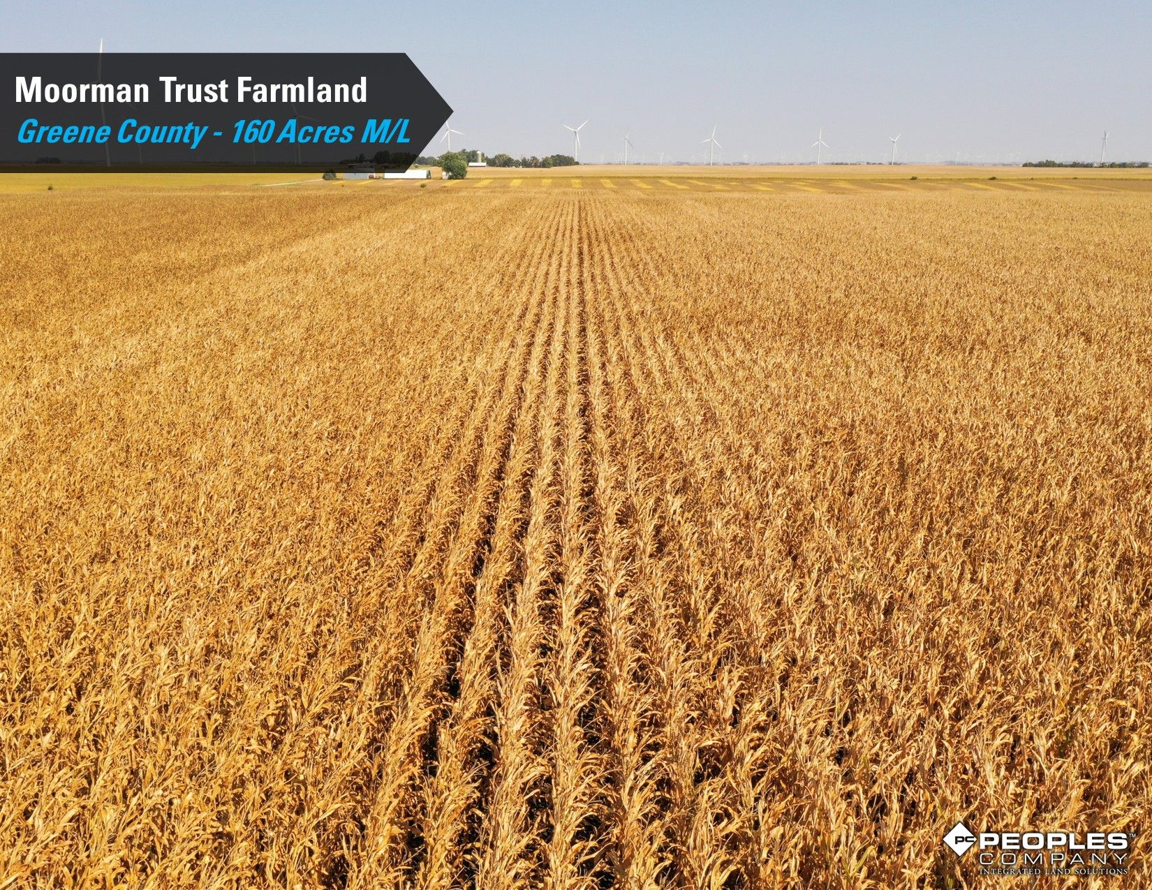Listing Photo: Greene-County-Iowa-Farmland-Auction-160-Acres-Moorman-Rippey-IA-18618 (9)